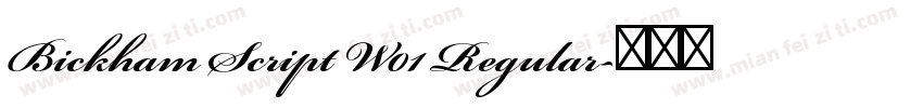Bickham Script W01 Regular字体转换